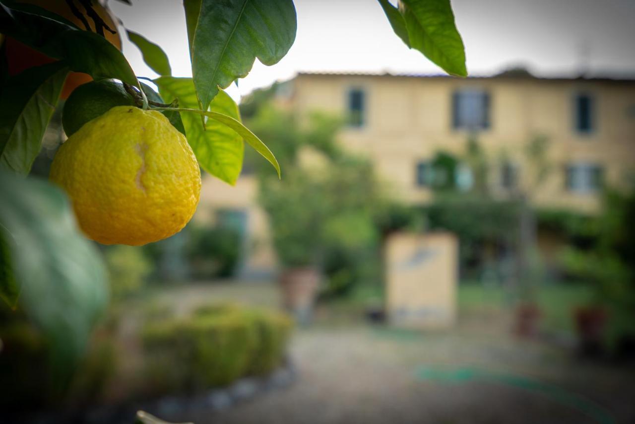 Villa Ape Rosa Relais Florencie Exteriér fotografie